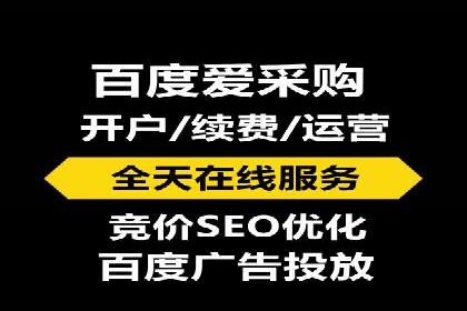 大型SEM服务公司案例分析